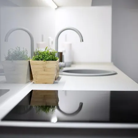 Appartamento Business In Jaksto Street *