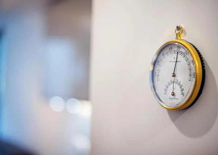 Business In Jaksto Street Lejlighed